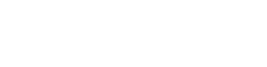 Vetifly